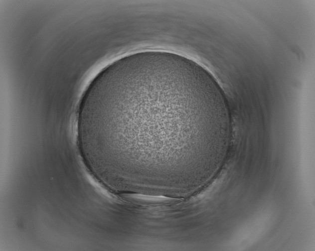 X0000112771511200909031600