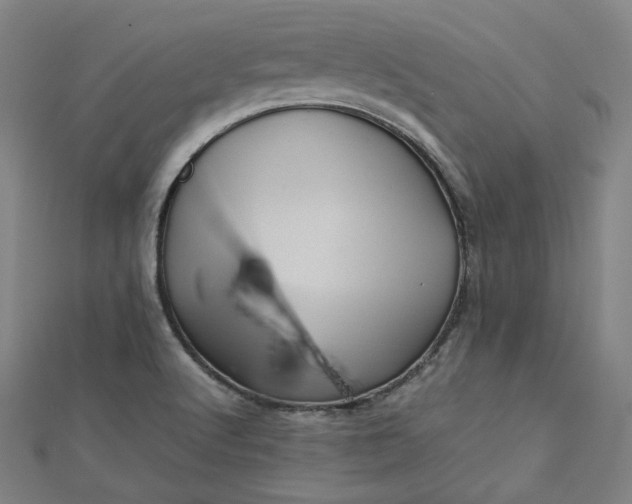 X0000112771512200909031600