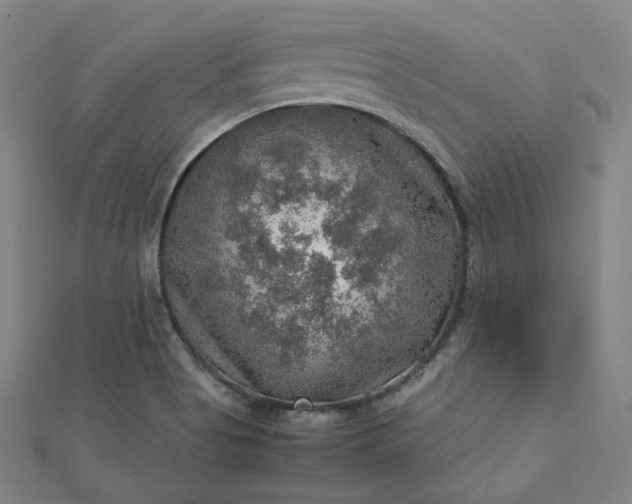 X0000112771513200909031600