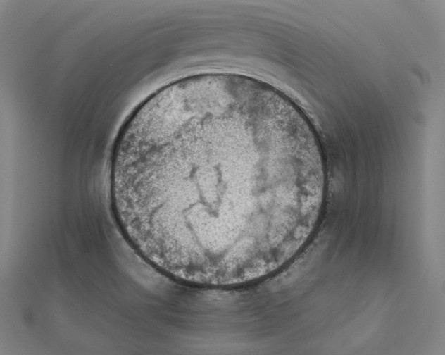 X0000112771514200909031600