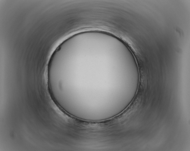 X0000112771516200909031600