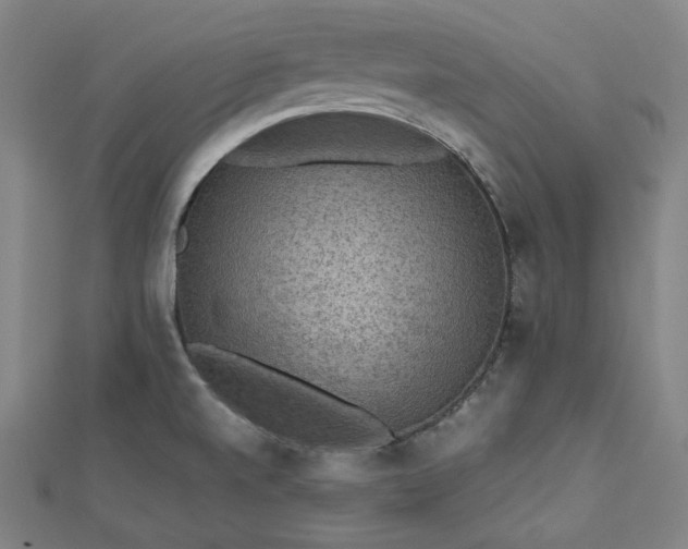 X0000112771520200909031601