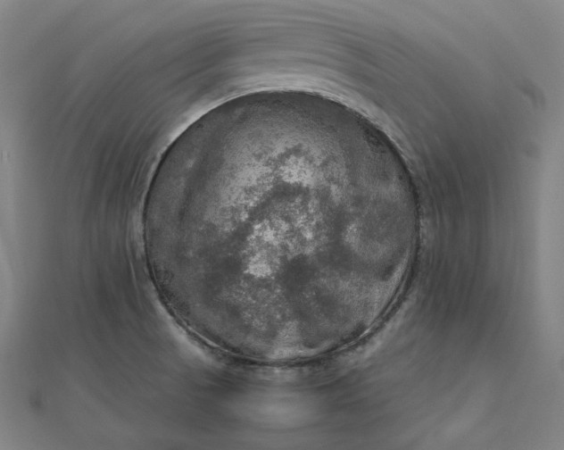 X0000112771521200909031601