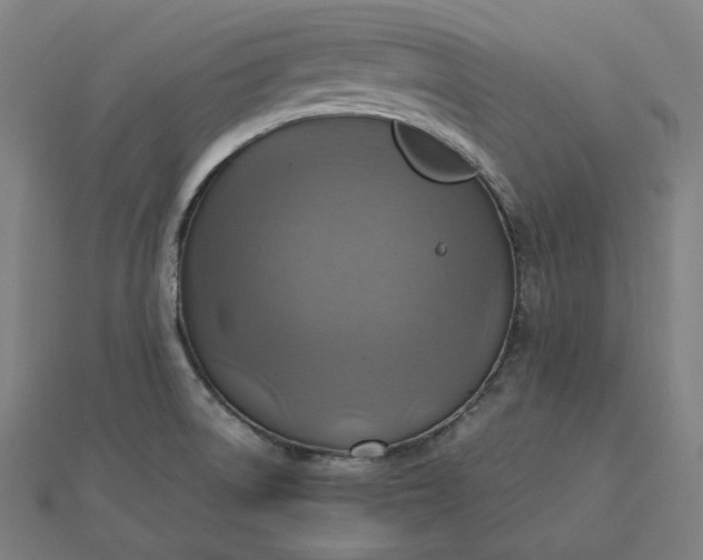 X0000112771522200909031601