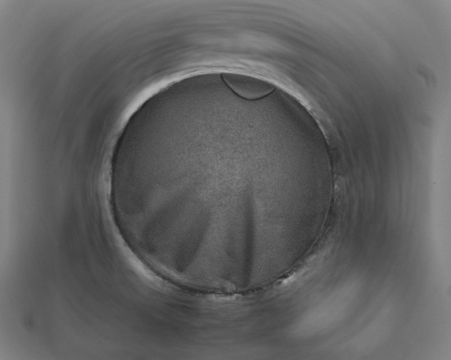 X0000112771523200909031601