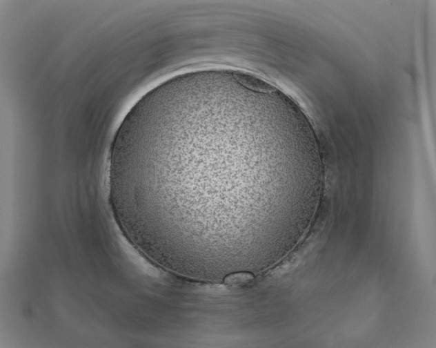 X0000112771524200909031601