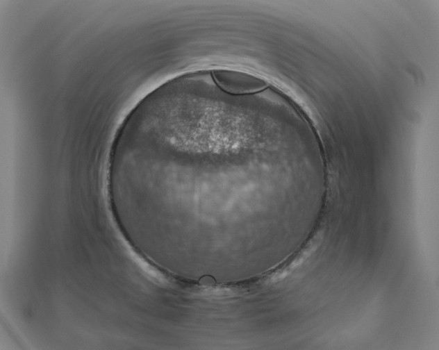 X0000112771525200909031601