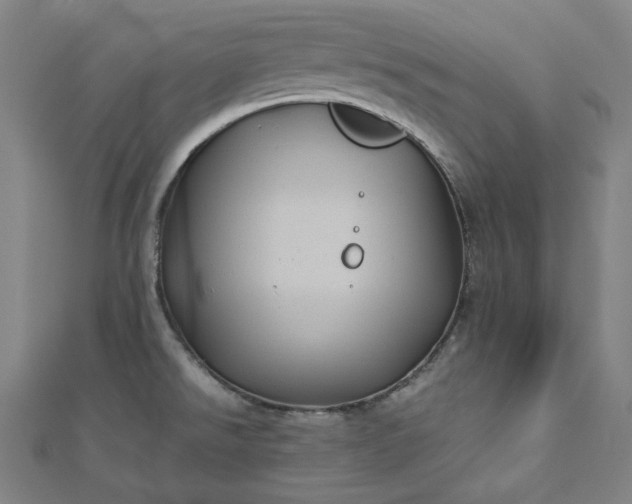 X0000112771526200909031601