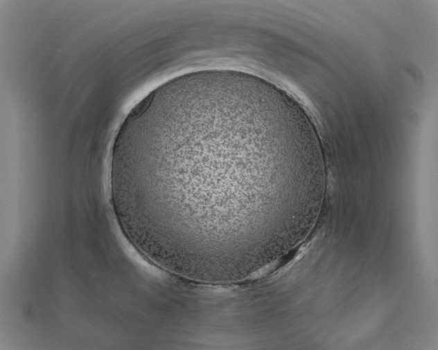 X0000112771528200909031601