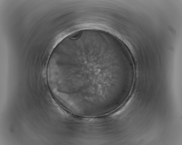 X0000112771529200909031601