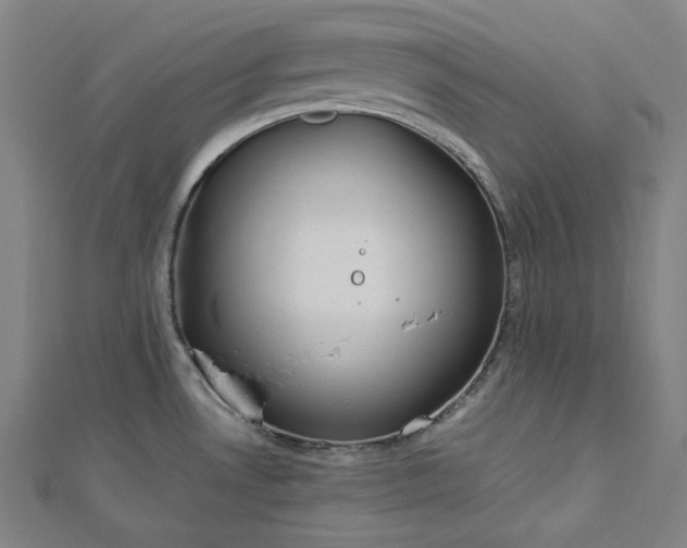 X0000112771530200909031601