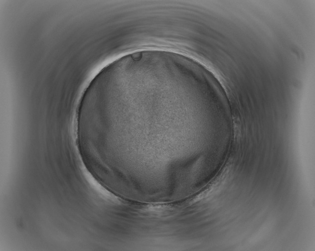 X0000112771531200909031601