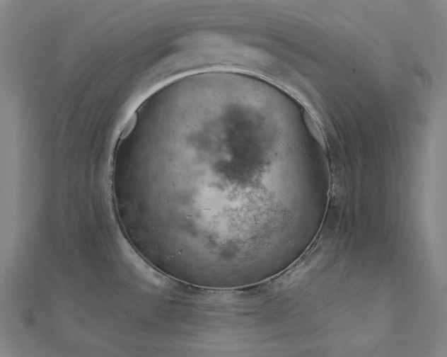 X0000112771532200909031601