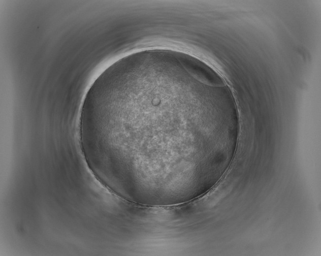 X0000112771536200909031601