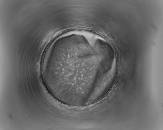 X0000112770002200909101600