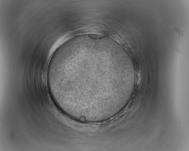 X0000112770004200909101600