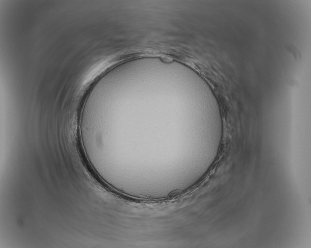 X0000112770005200909101600