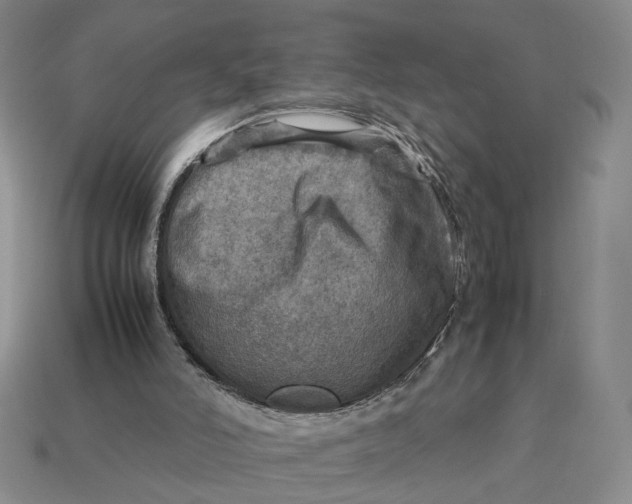 X0000112770006200909101600