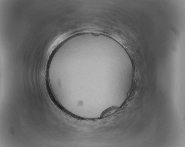 X0000112770007200909101600