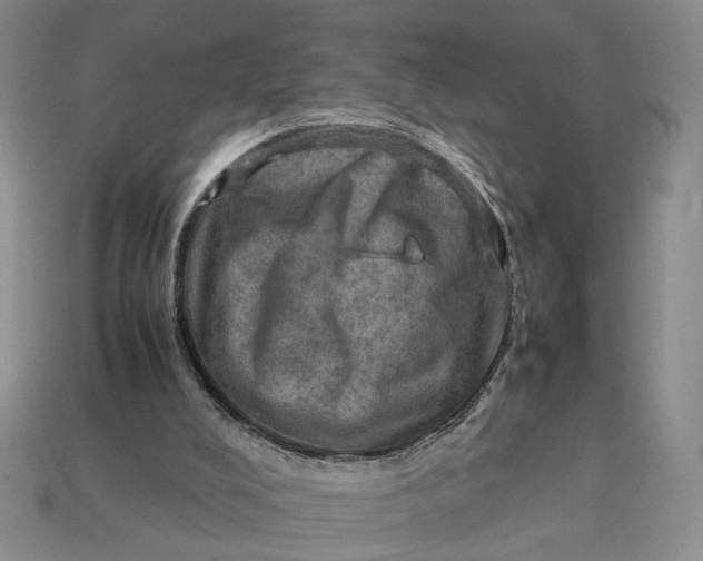 X0000112770008200909101600