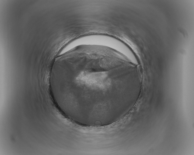 X0000112770009200909101600