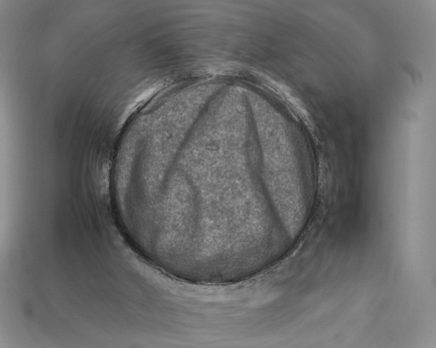 X0000112770010200909101600