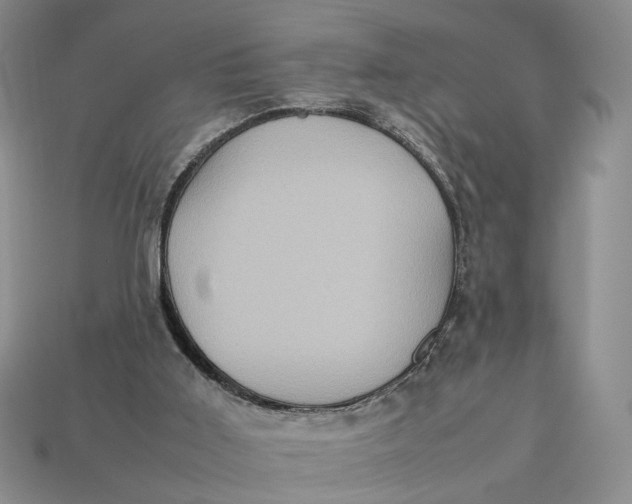 X0000112770011200909101600