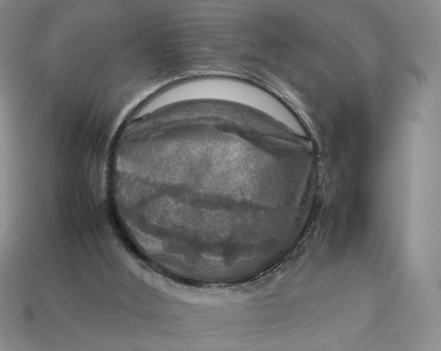 X0000112770012200909101600