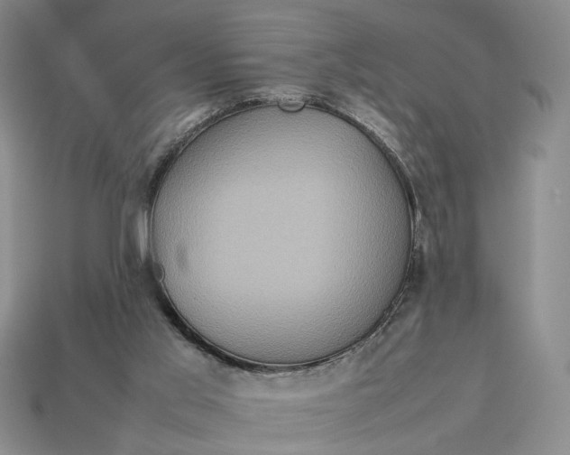 X0000112770013200909101600