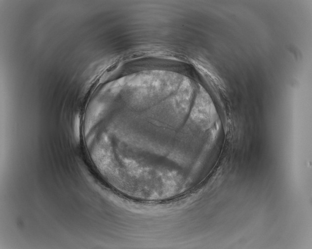 X0000112770014200909101600