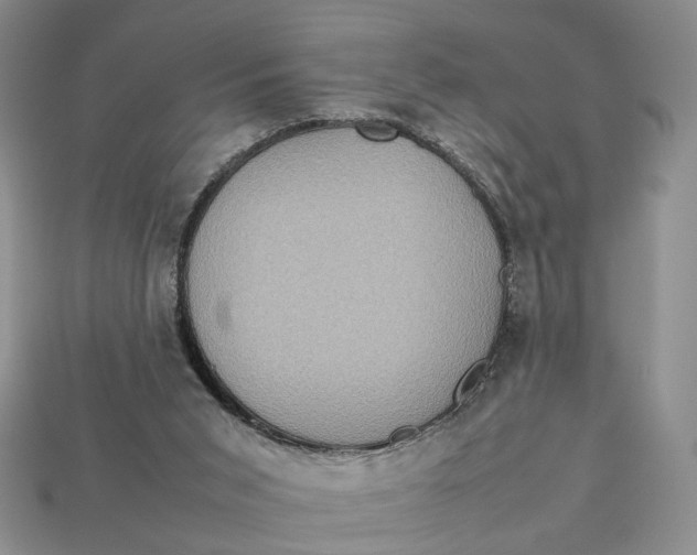 X0000112770015200909101600