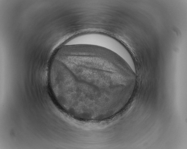 X0000112770016200909101600