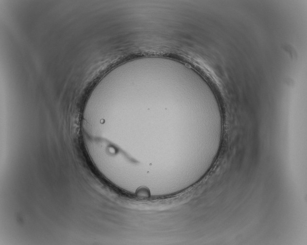 X0000112770017200909101600