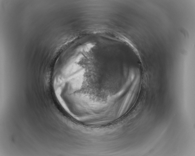 X0000112770018200909101600