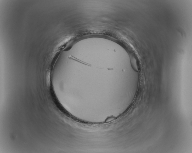 X0000112770019200909101600