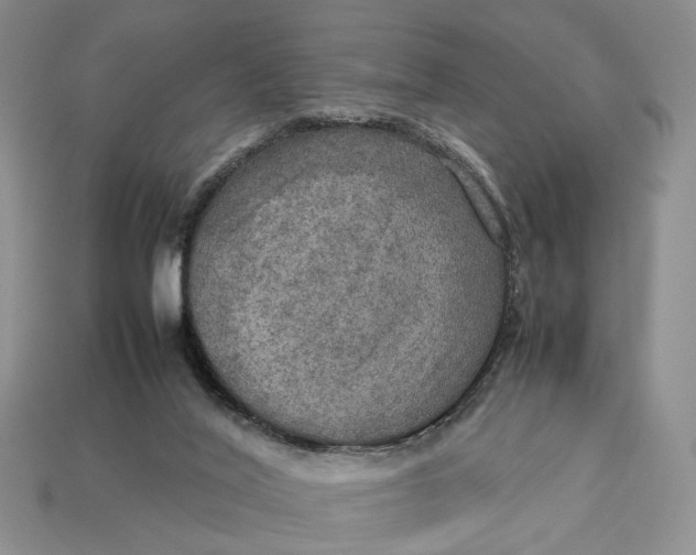 X0000112770020200909101600