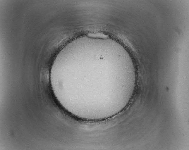 X0000112770021200909101600