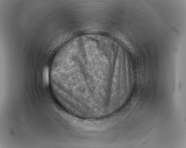 X0000112770022200909101600