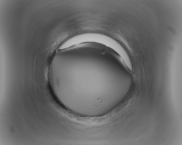 X0000112770023200909101600