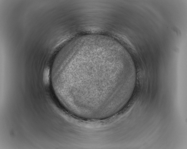 X0000112770024200909101600