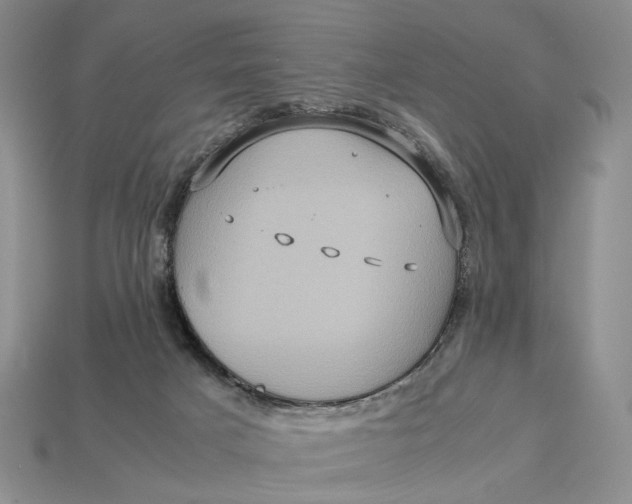 X0000112770025200909101600