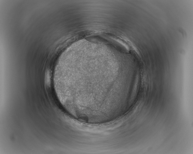 X0000112770026200909101600