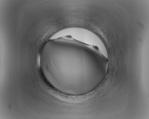 X0000112770027200909101600