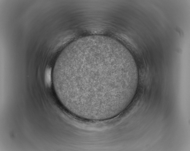 X0000112770028200909101600