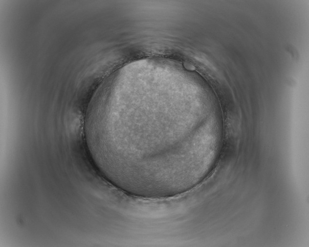 X0000112770029200909101600