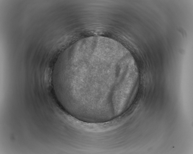 X0000112770030200909101600