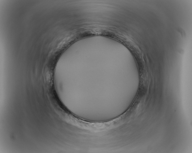 X0000112770031200909101600