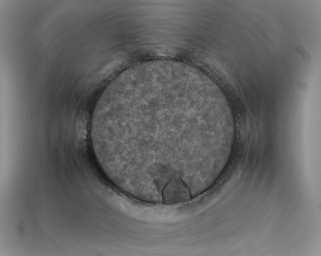 X0000112770032200909101600