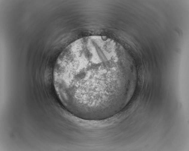 X0000112770034200909101600