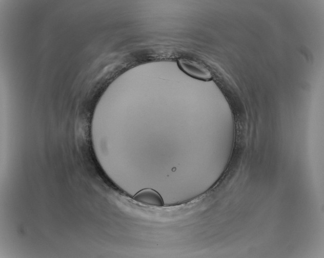 X0000112770035200909101600